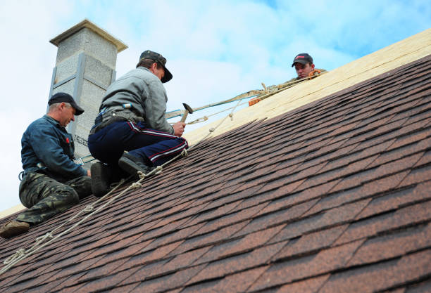 Best Gutter Installation and Roofing  in Spinnerstown, PA
